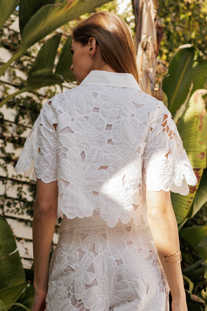 Jardin Conjunto 